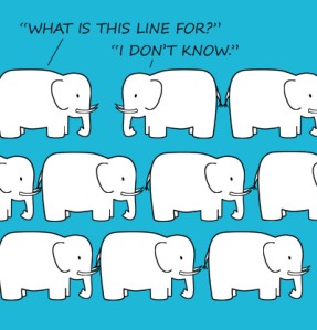 elephant_lineup